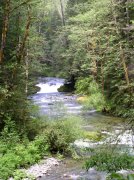 5.29.06 Siouxon Creek 027 